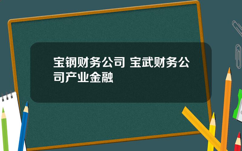 宝钢财务公司 宝武财务公司产业金融